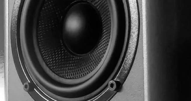 image of speaker